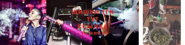 дурь Новодвинск
