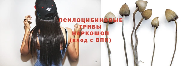 альфа пвп Новозыбков