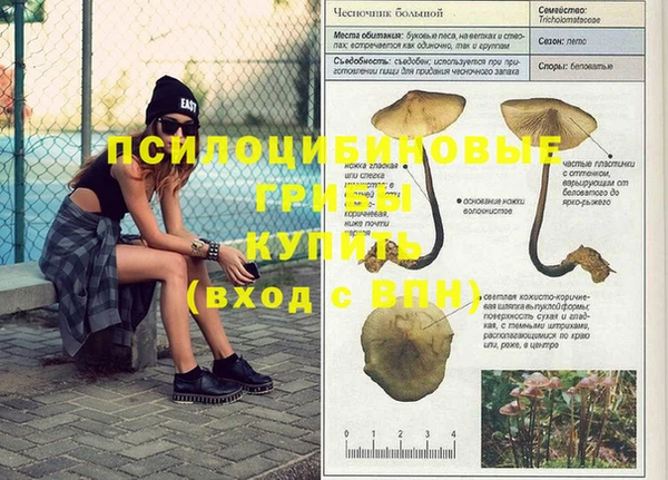 герыч Новокубанск