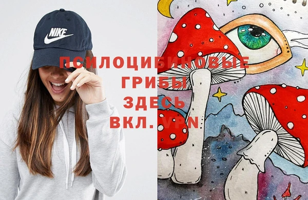 бутират Шарыпово